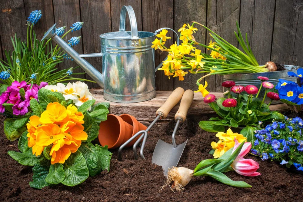 Garden safety tips from Sheddon Physiotherapy Burlington