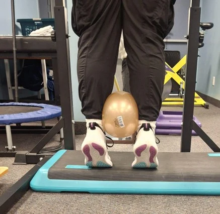 Tibialis Posterior Calf Raises Sports Injury Rehabilitation Burlington