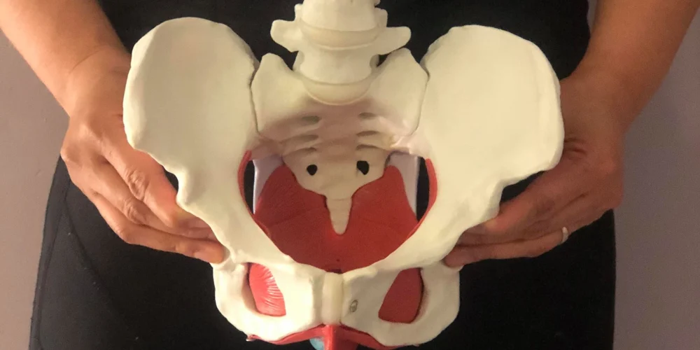 Pelvic Floor Dysfunction Physiotherapy Burlington